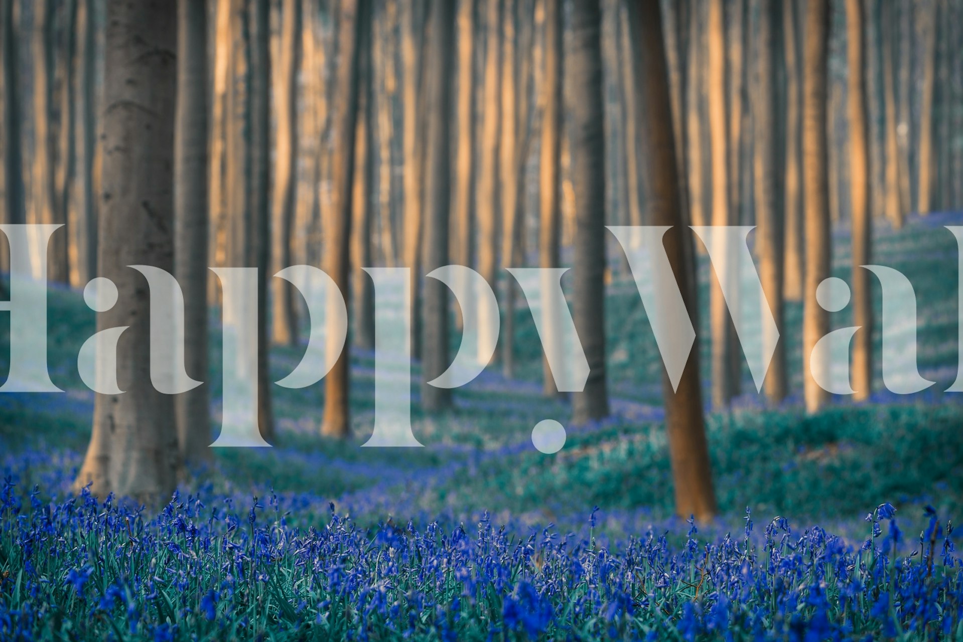 Vibrant blue flowers and tall trees in a forest wallpaper
