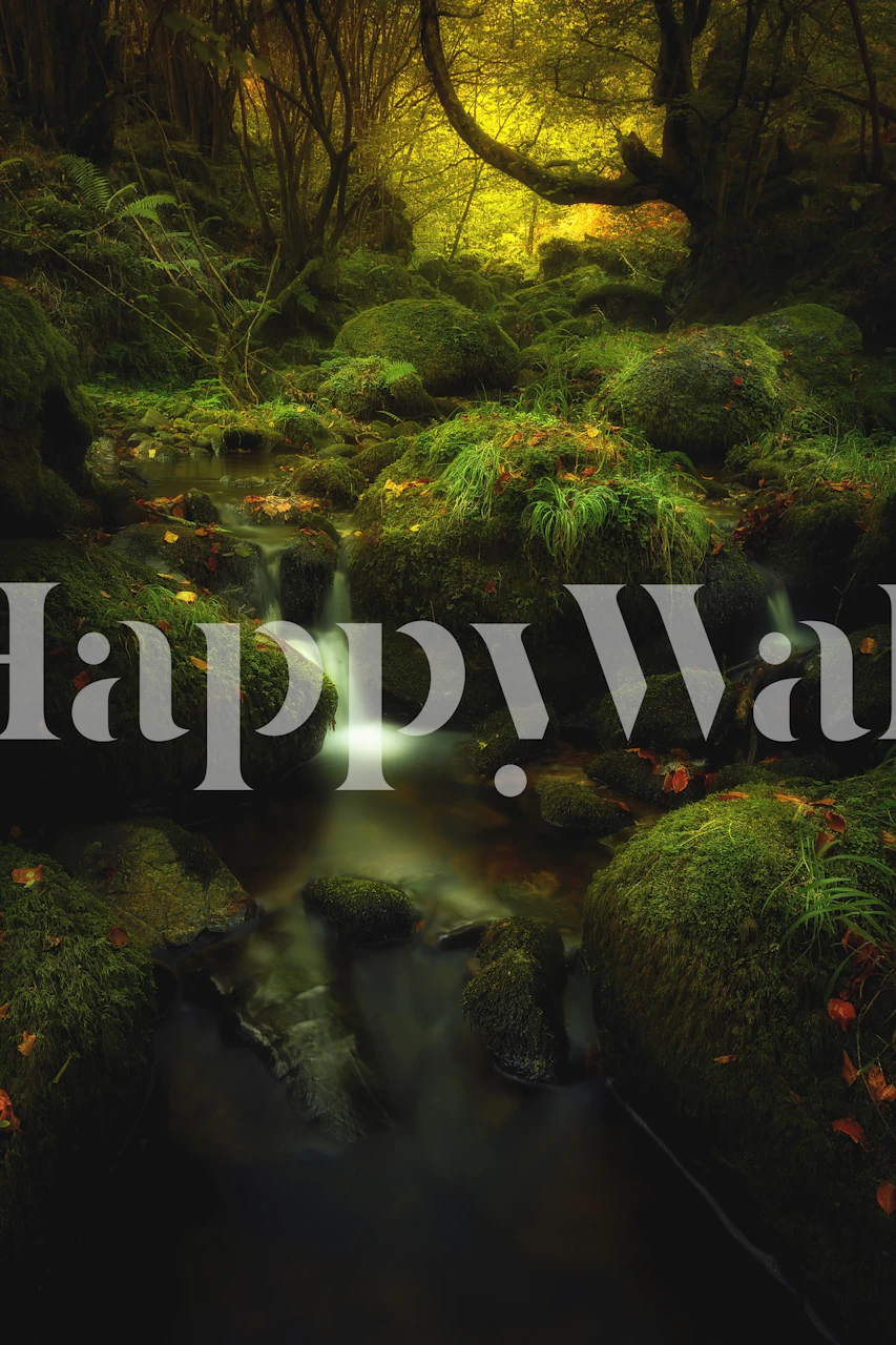 Tapeta Land of Xanes v pokoji