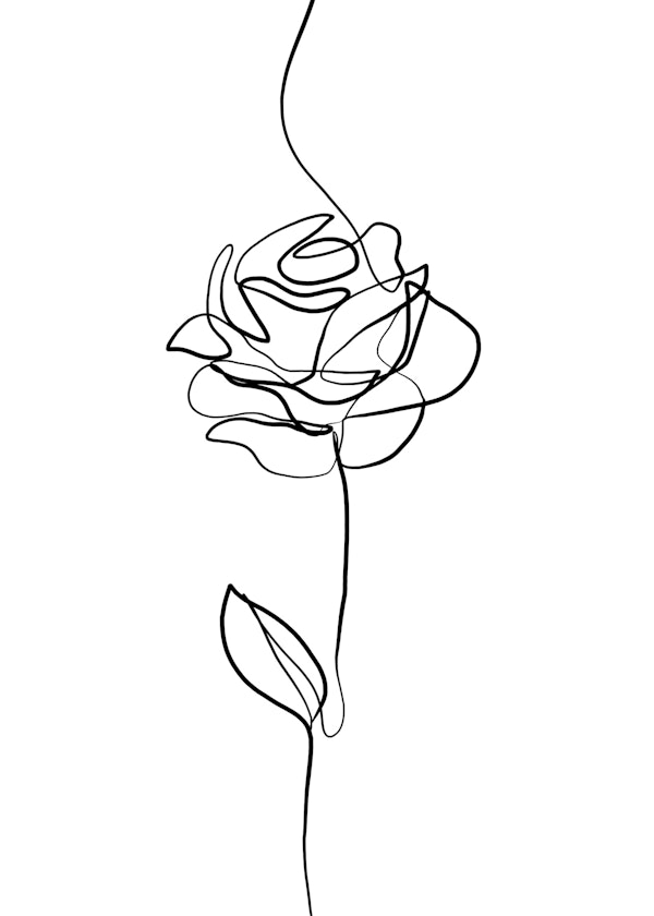 Elegant Rose Sketch