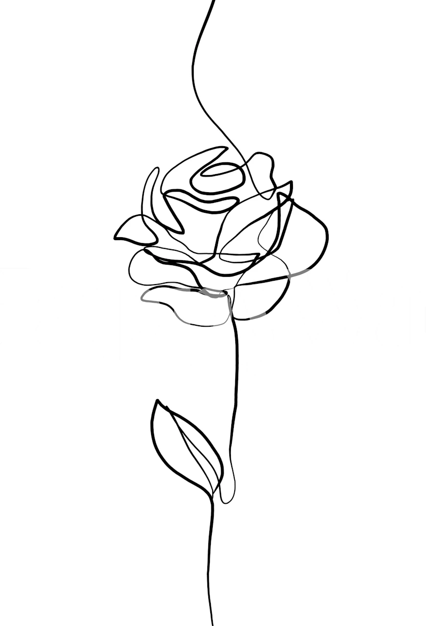 Elegant Rose Sketch wallpaper in a room