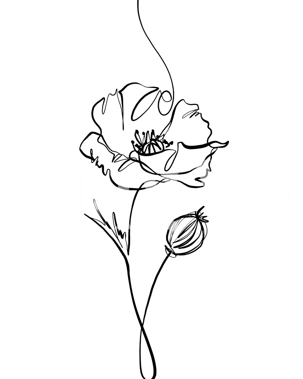 Delicate black poppy outline floral wallpaper