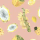 Lush Tropical Fruit Pattern