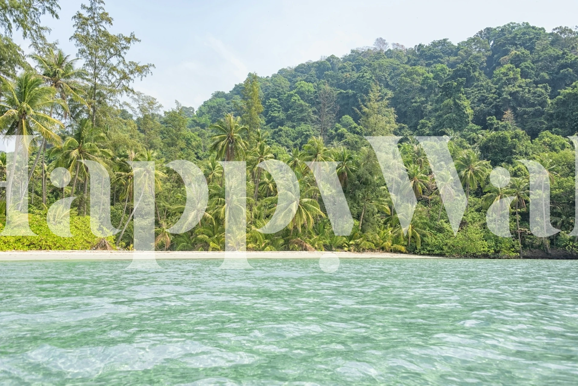 Tropical palm trees against green lush background wallpaper