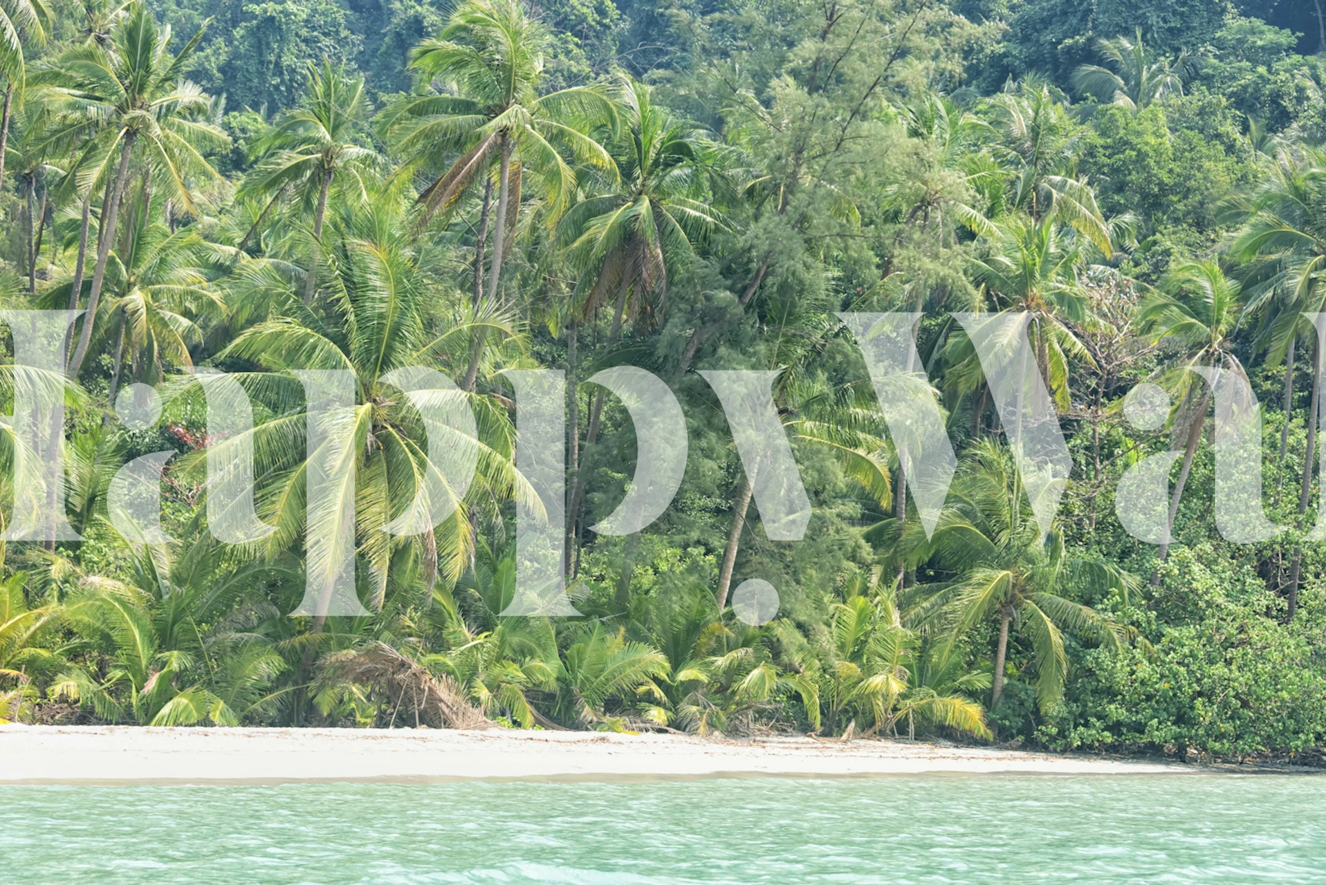 Serene Beachfront Forest wallpaper design