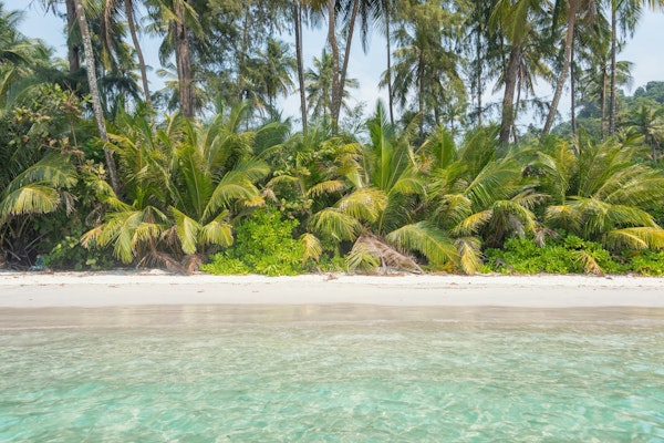 Tropical Beach Serenity