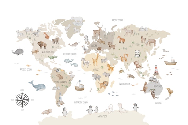 Animal World Map Adventures on White