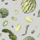 Green Harvest Fruit Pattern