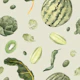 Green Tropical Fruits & Veggies