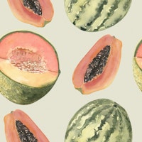 Exotic Melons & Papaya Fruit Pattern tapete