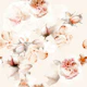 Wishper of Roses Vintage