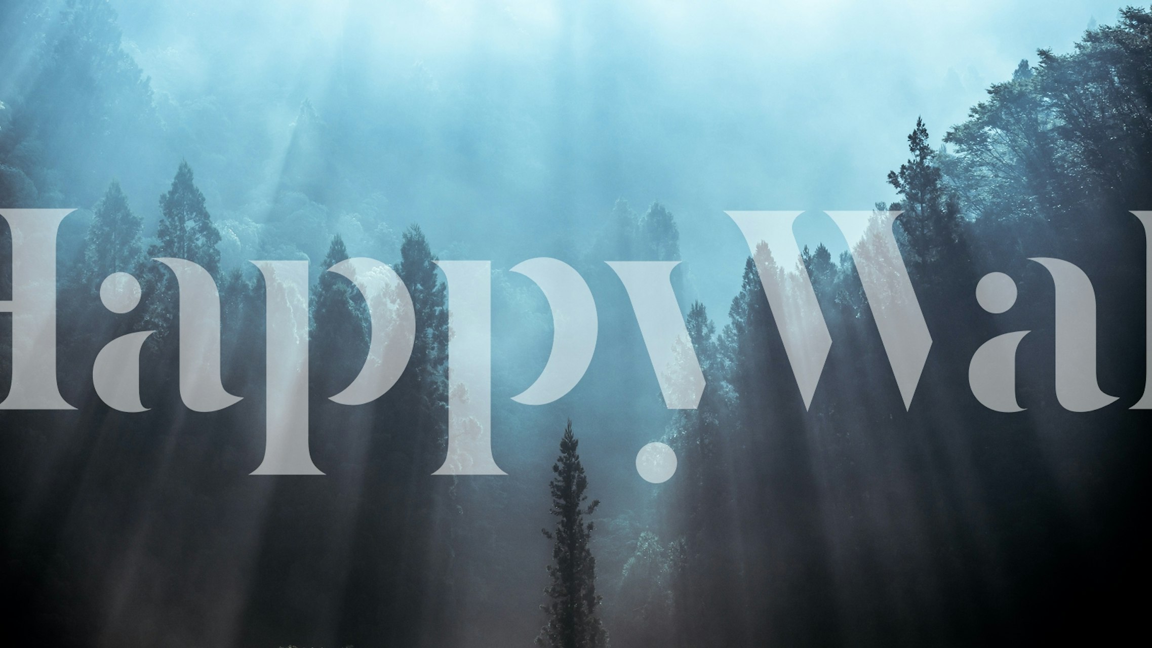 Tapet der viser light, der filtrerer gennem træer