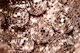 Disco Balls Glam 17