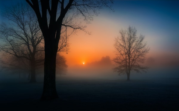 Foggy sunrise