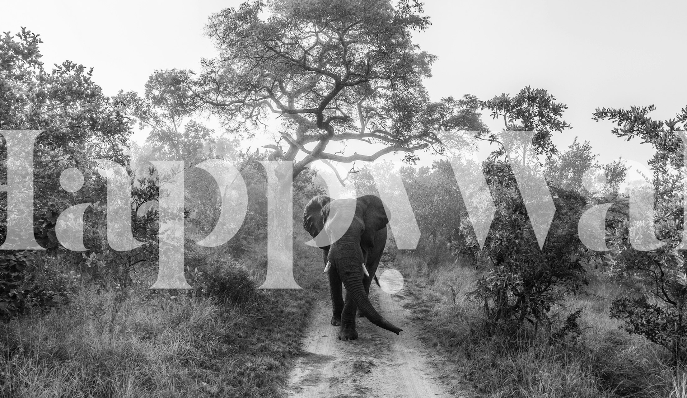 Jednobojni zidni mural sa slonom u prirodnom okruženju