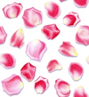 Rosenblättertanz - groß papiers peint