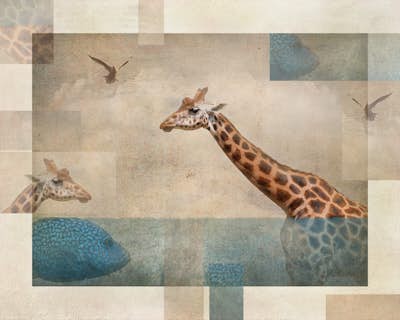 Τοιχογραφία