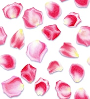 Rosenblättertanz - klein papiers peint