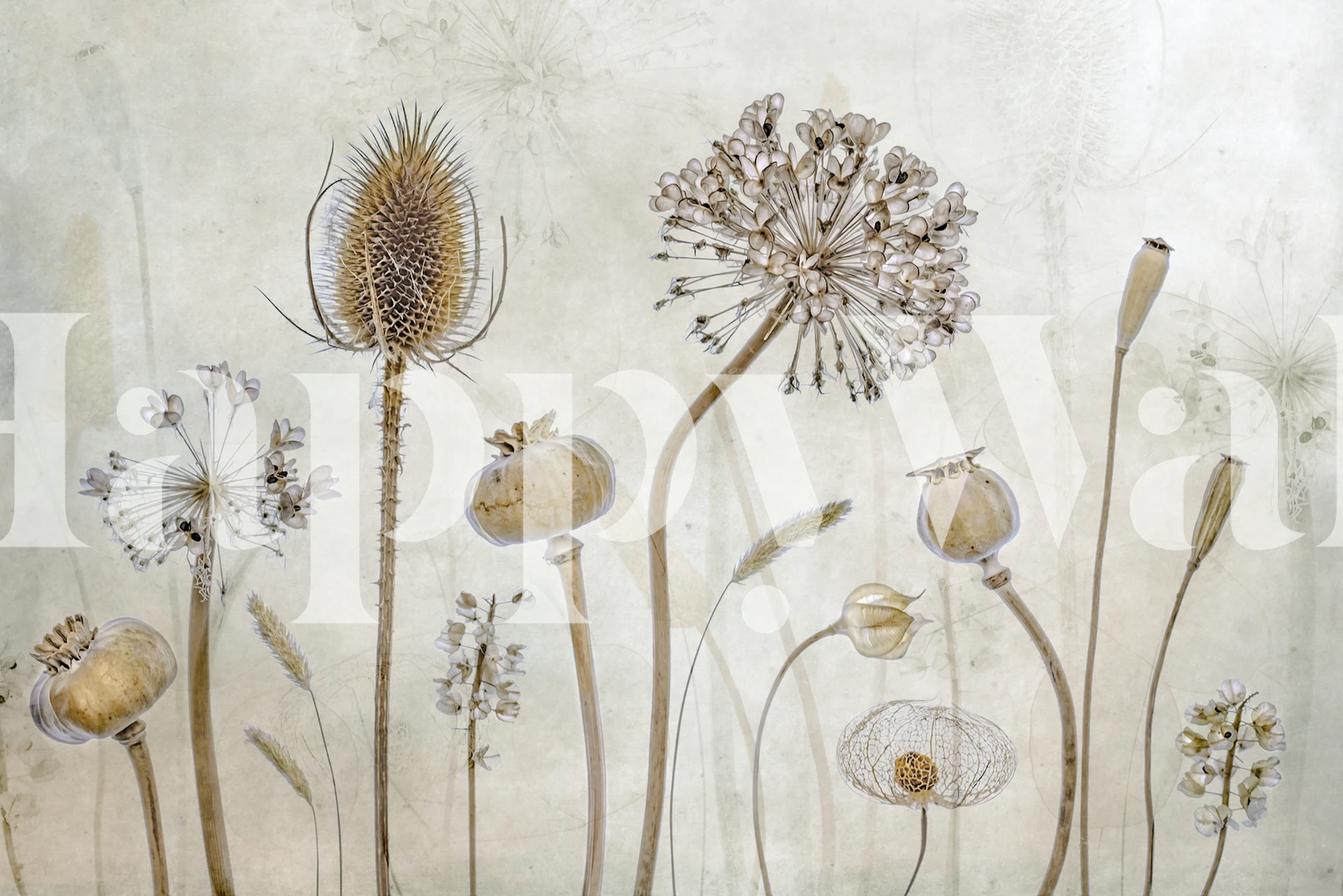 Botanical wall mural with sketched flowers in neutral tones