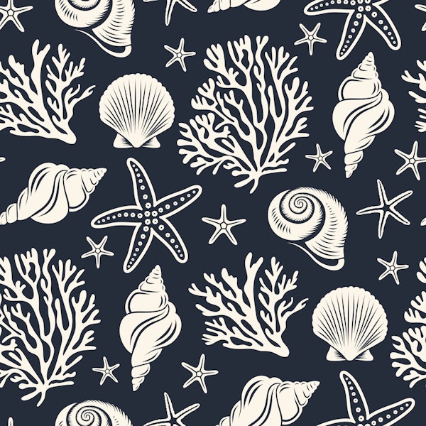 Coastal Seashell Elegance