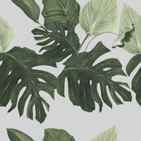Monstera & Palm Leaves on Gray behang