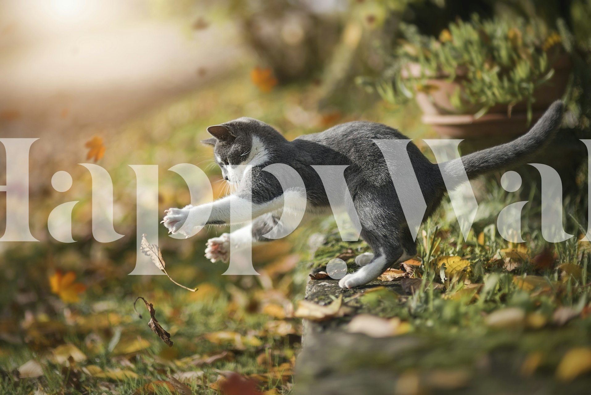 Gray cat jumping on autumn leaves wallpaper