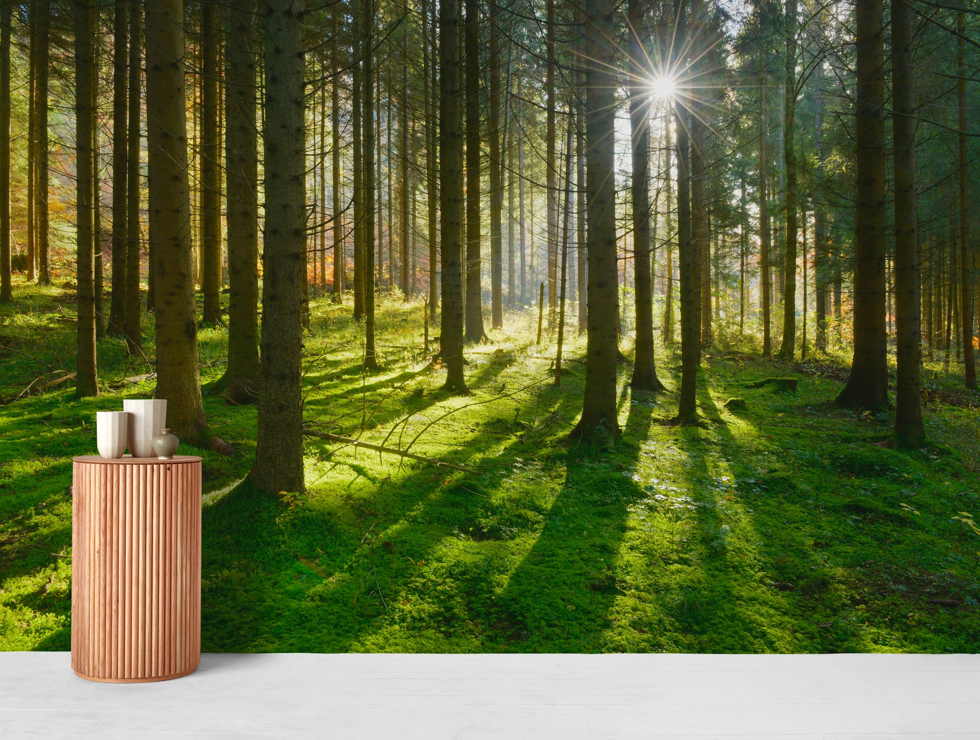 Solstralar I Skogen Tapet Fototapet Gron Happywall