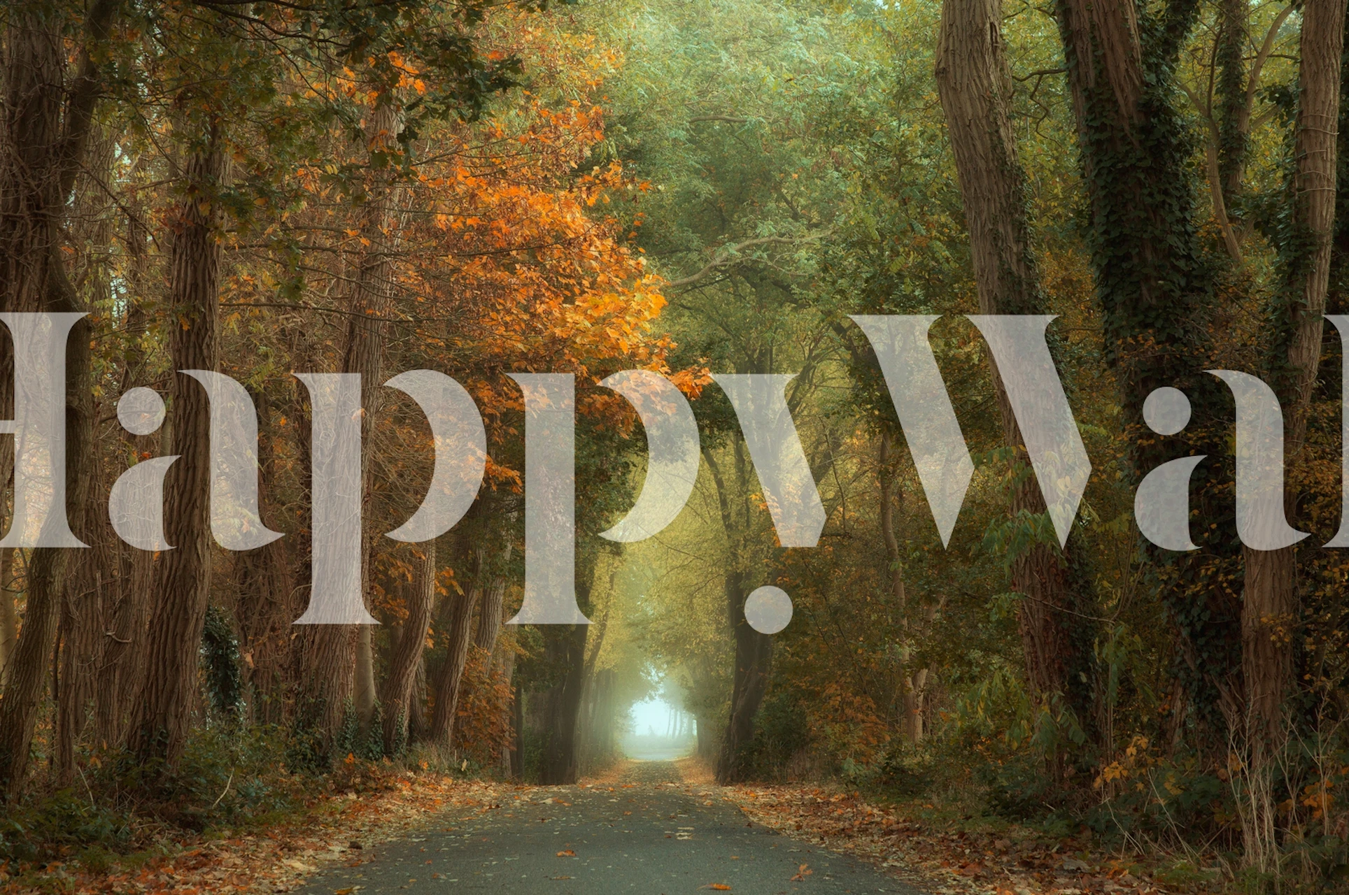 Country road wallpaper in a cozy room