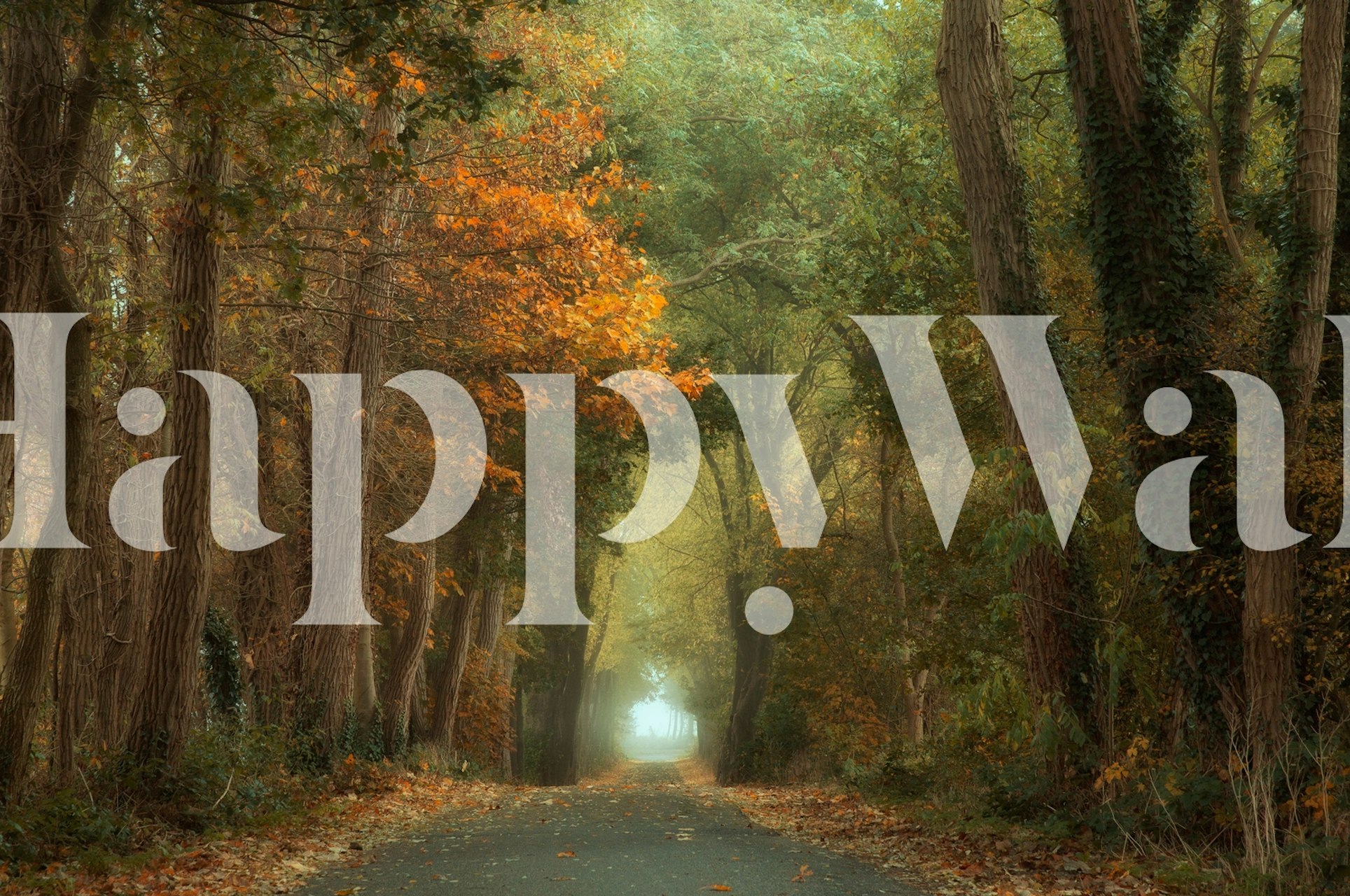 Tapeta Country road u udobnoj sobi