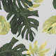 Monstera & Palm Leaves Pattern