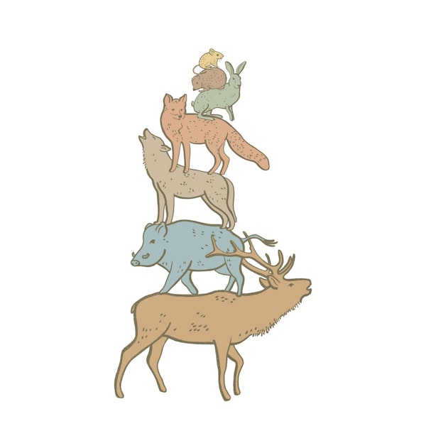 Woodland Animal Stack on White