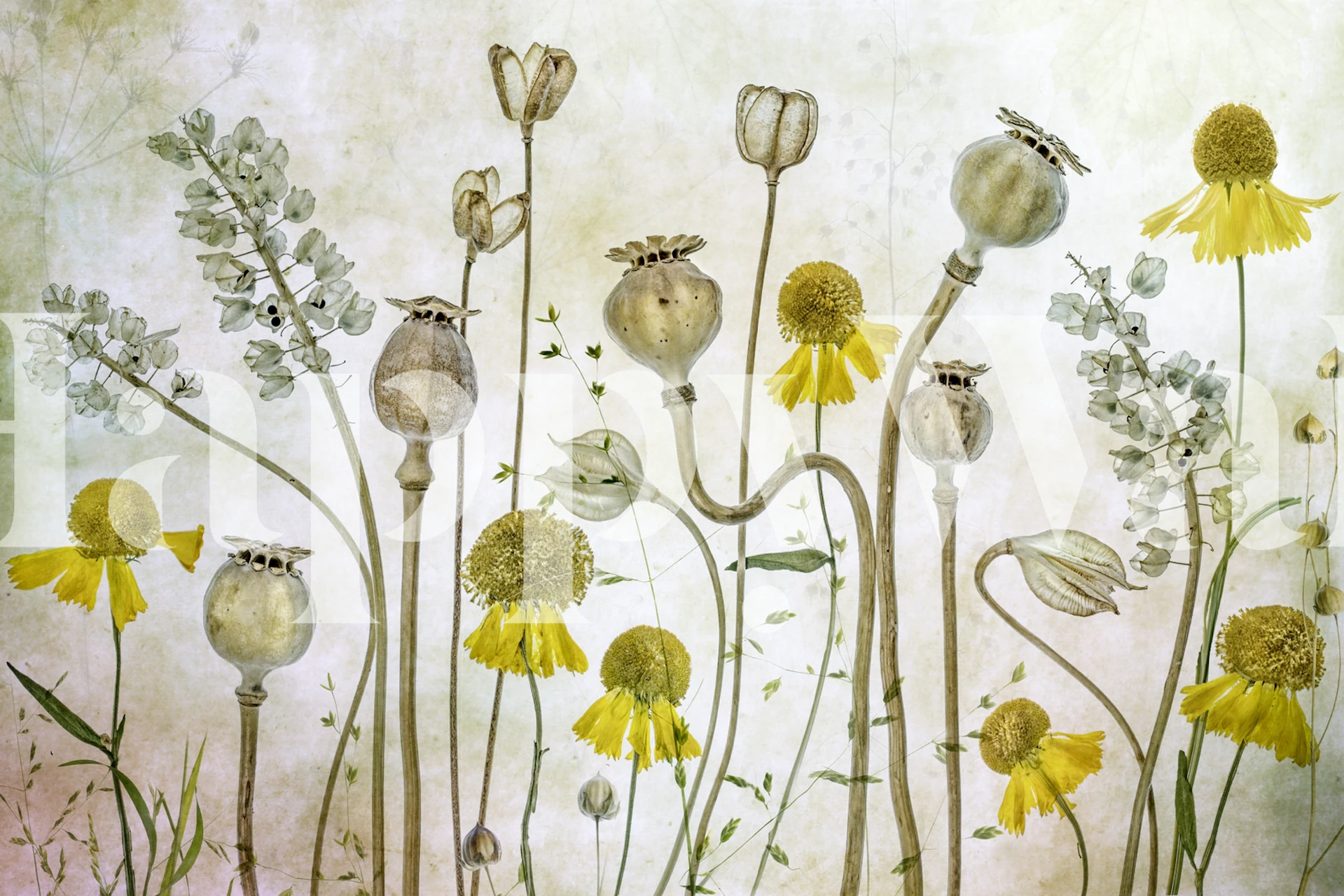 Yellow flowers, seed pods, green leaves, vintage style wallpaper