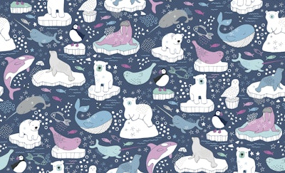 Pattern