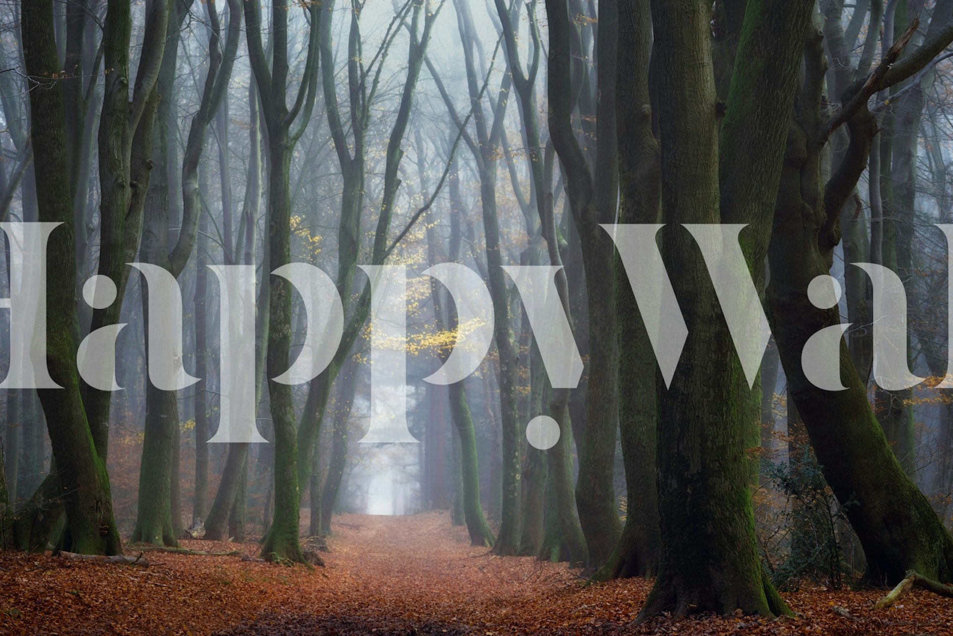 Tapet med en lugn skogsväg