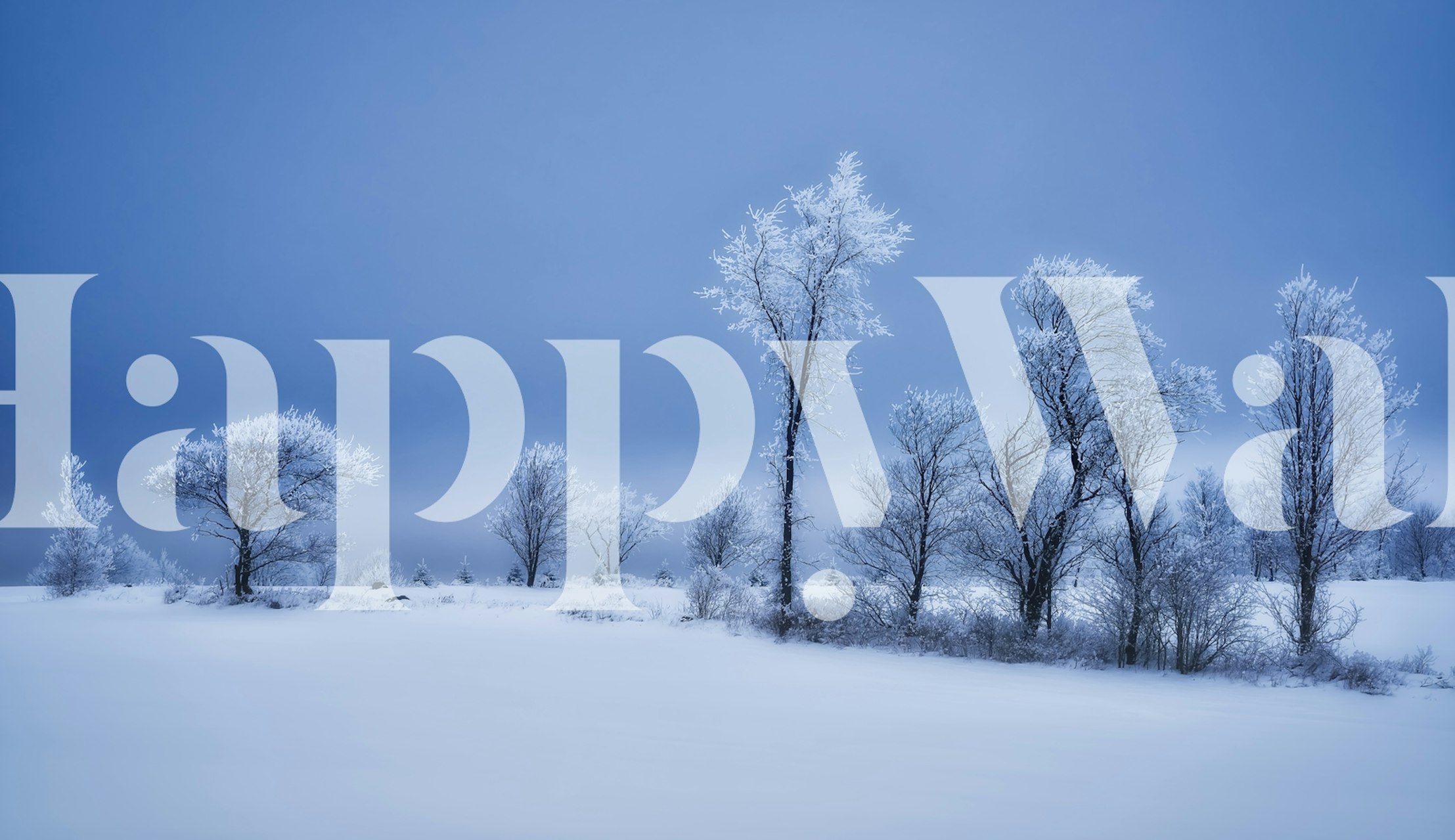 Winterland wallpaper showcased in a room