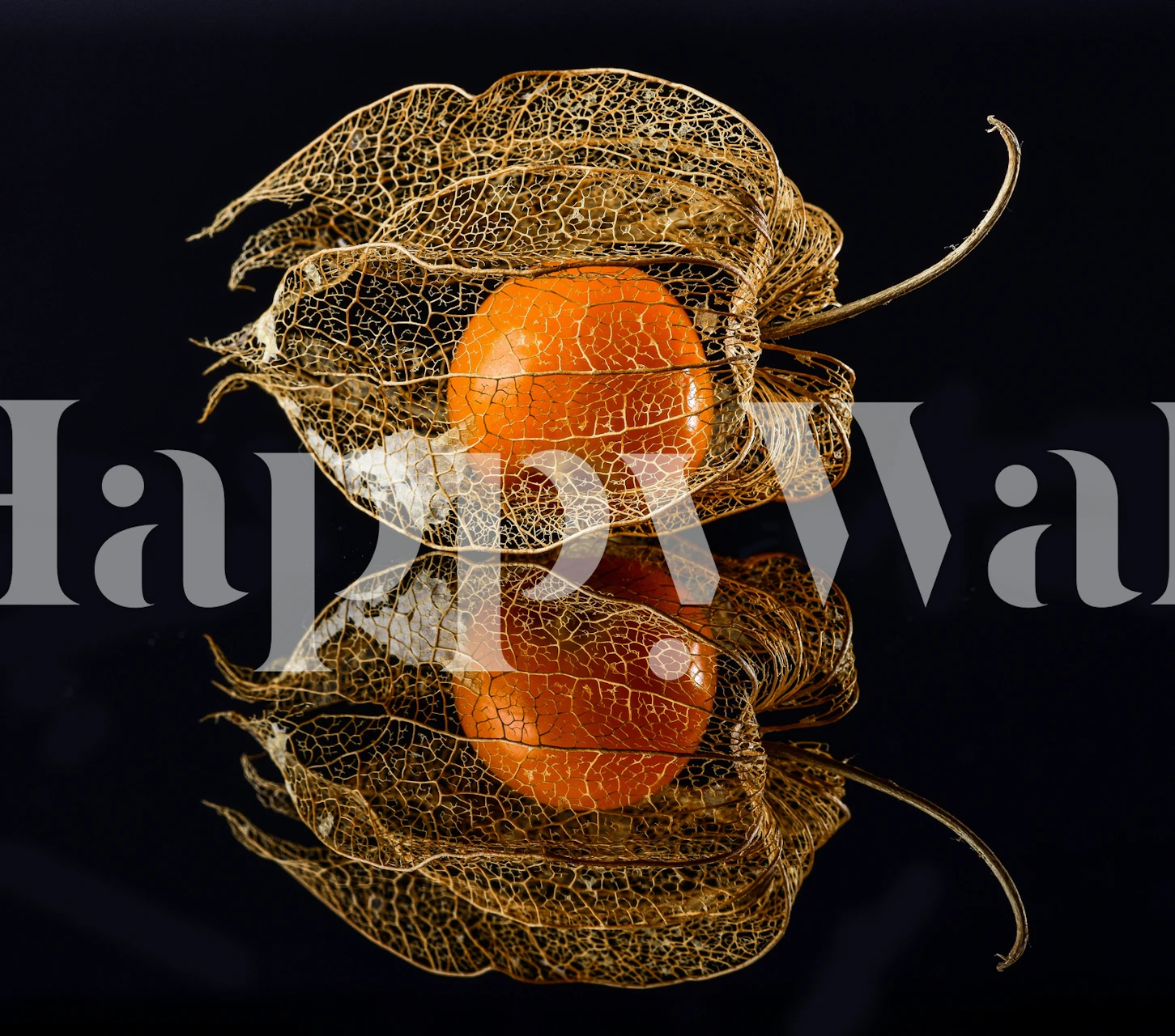 Physalis wallpaper design in a modern setting
