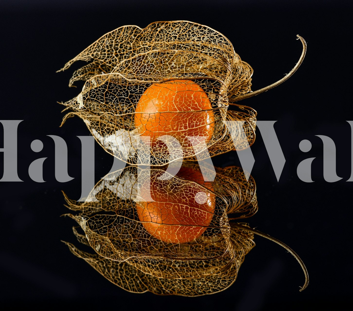 Physalis wallpaper design in a modern setting