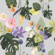 Botanical Paradise Pattern