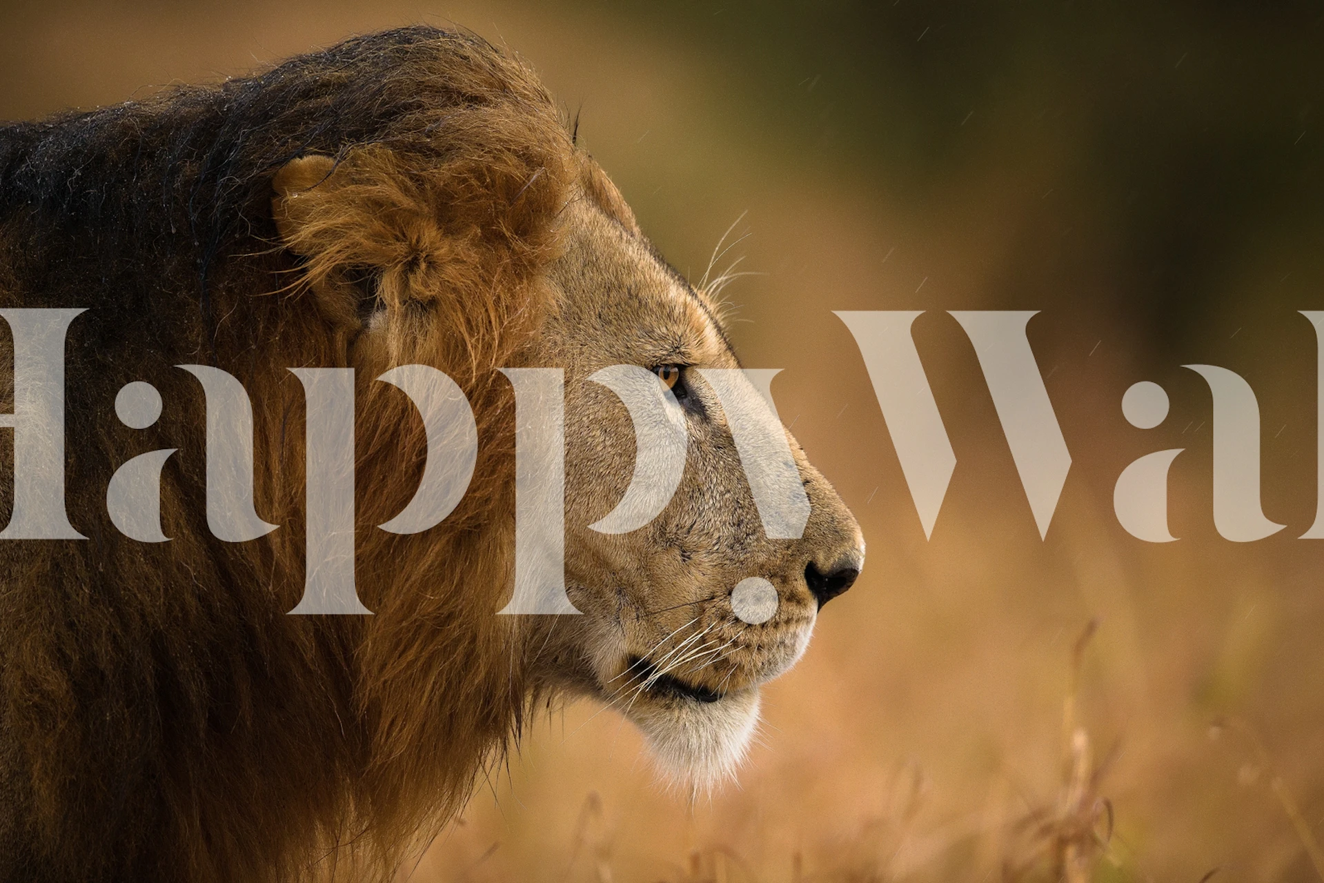 Walking Under The Rain wallpaper in a room