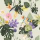 Lush Tropical Wildflowers