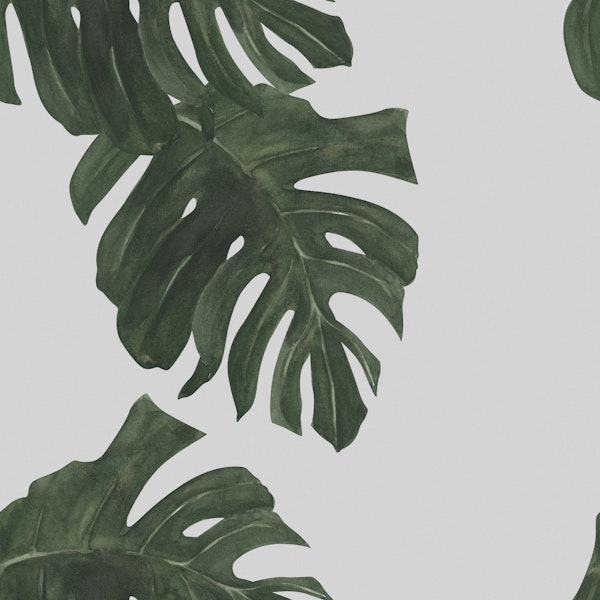 Watercolor Monstera Jungle