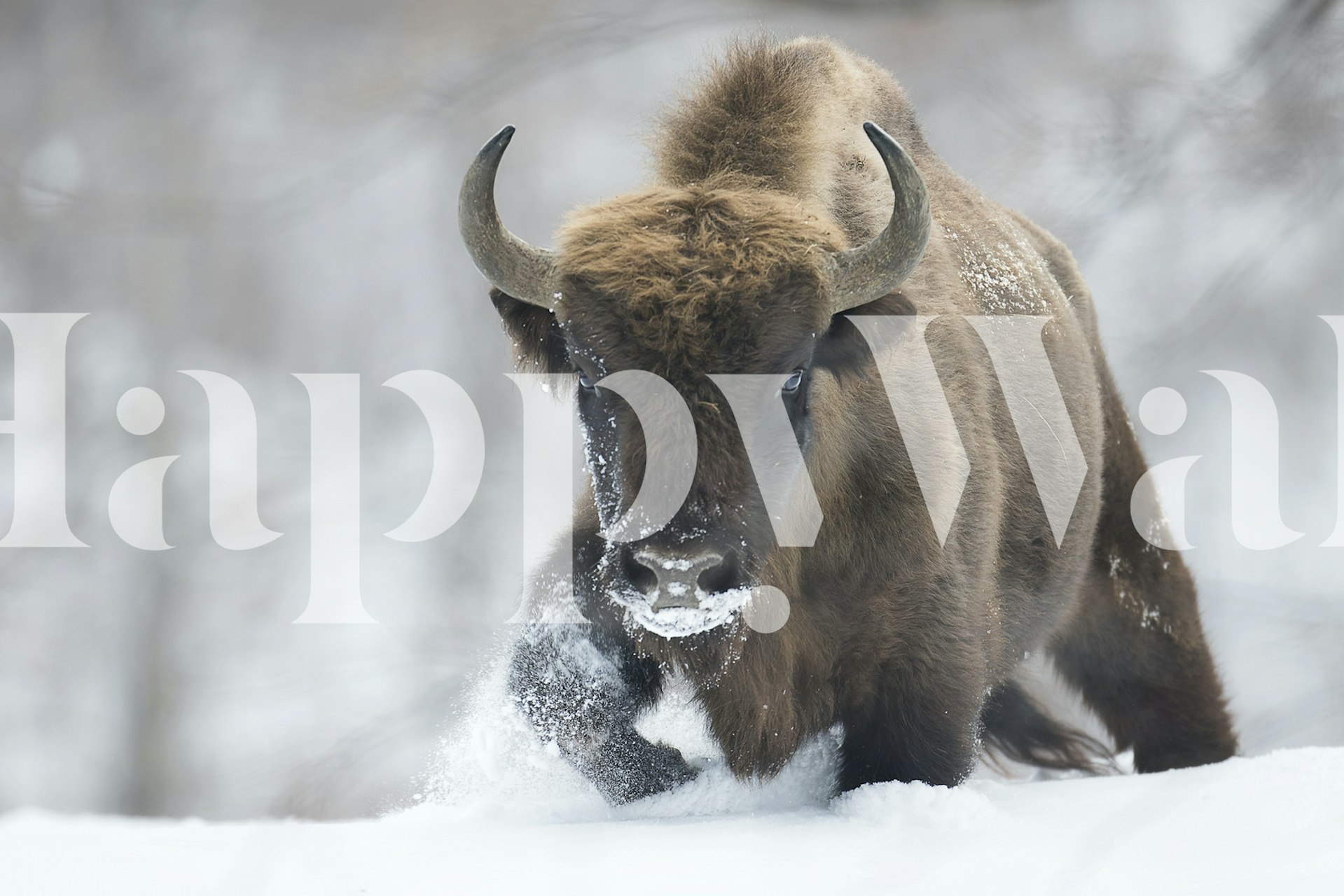 Rewilded tapetti luonnollisessa ympäristössä