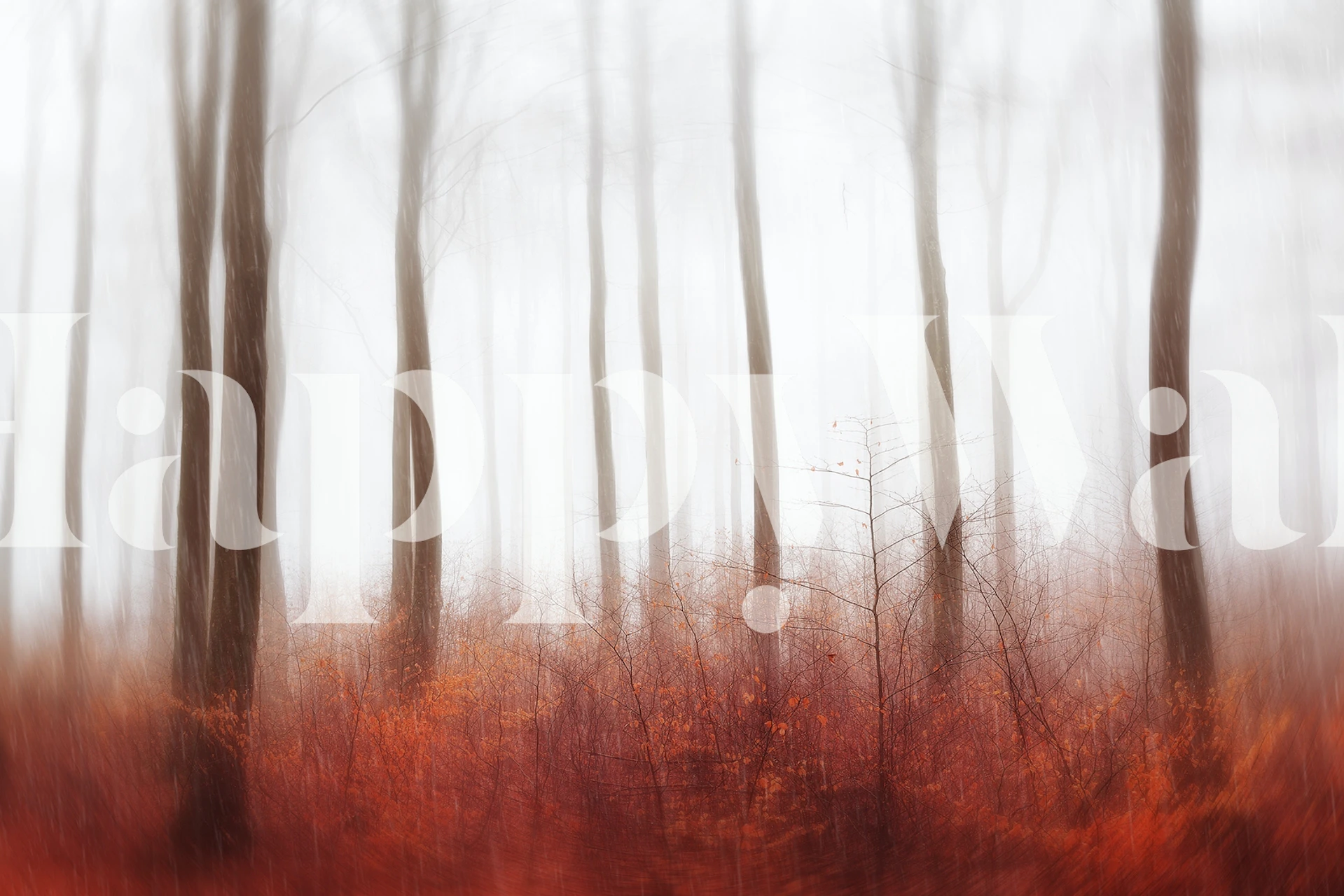 Misty forest wall mural with autumnal underbrush