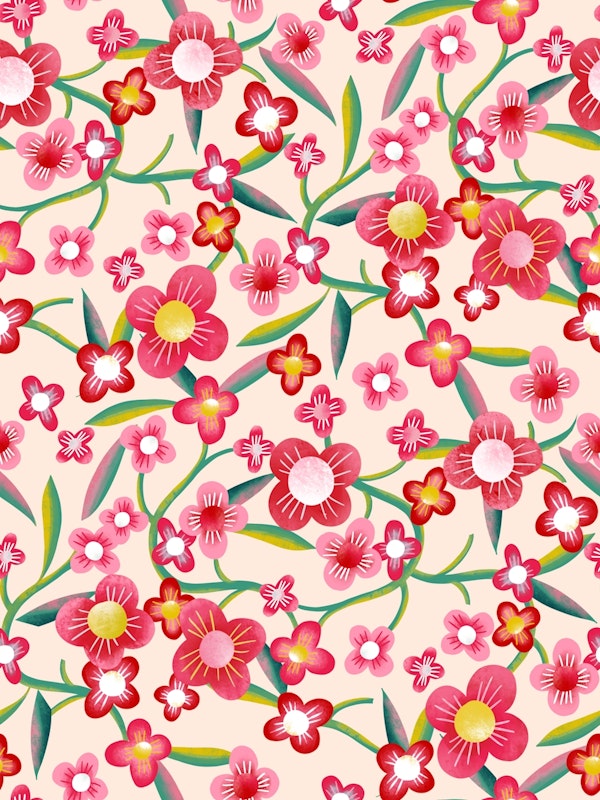 Cherry blossoms variety light