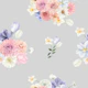 Elegant Pastel Flowers