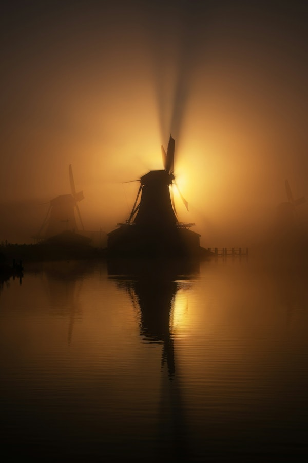 Golden Windmill Glow