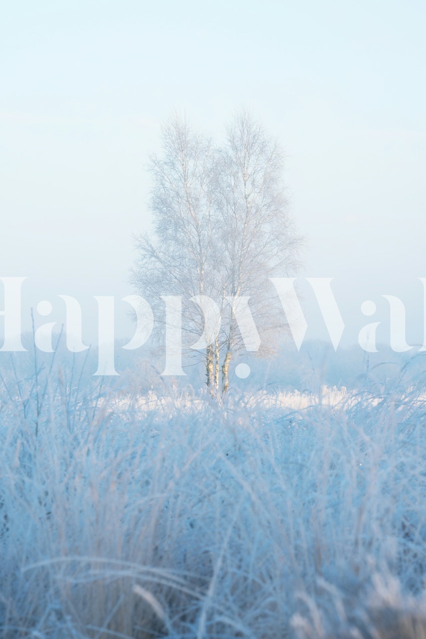 Frosty Morning Serenity tapet i et rum
