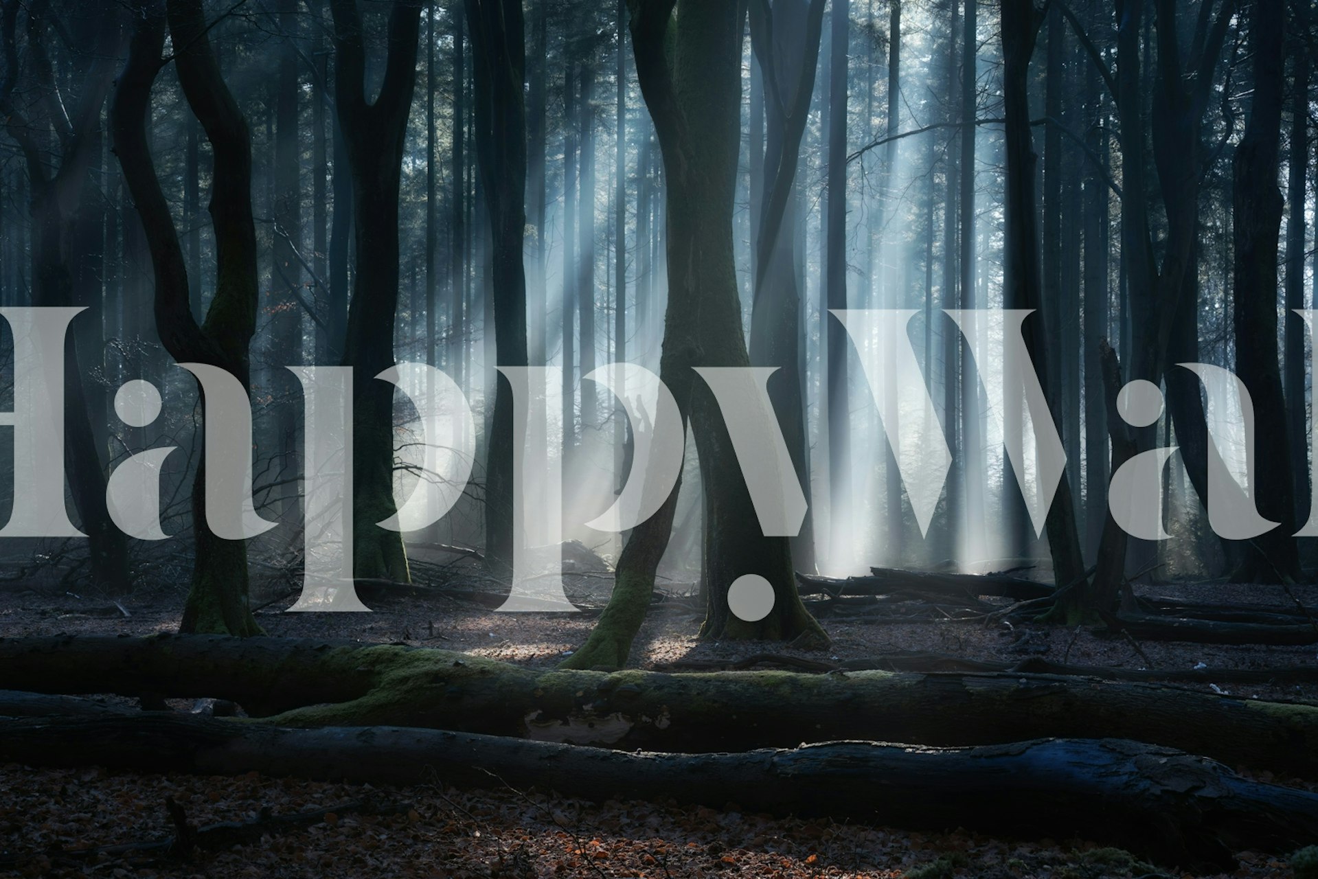 Tranquil forest wallpaper design in a room