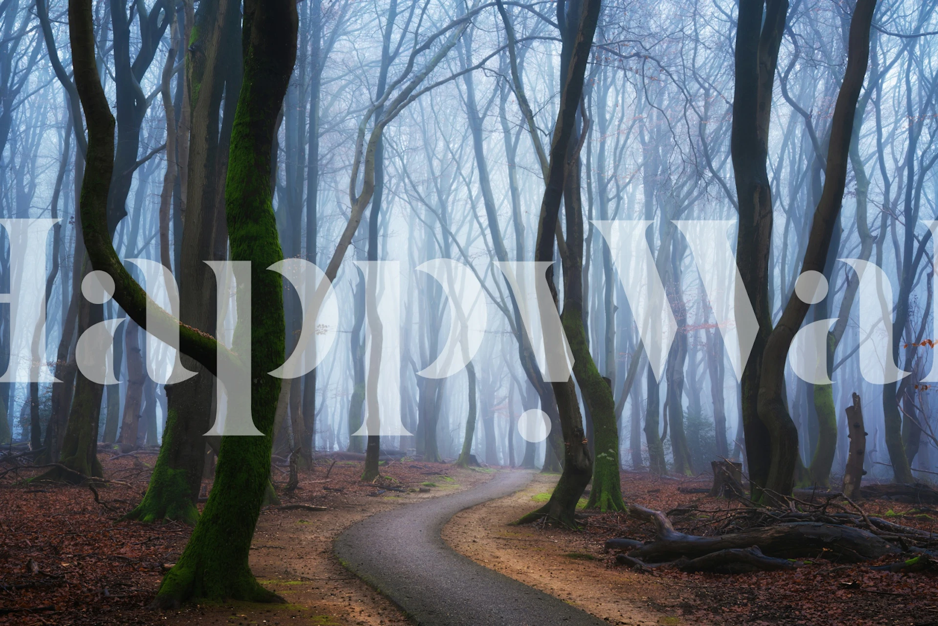 Papier peint Foggy Tree-Lined Road dans une pièce