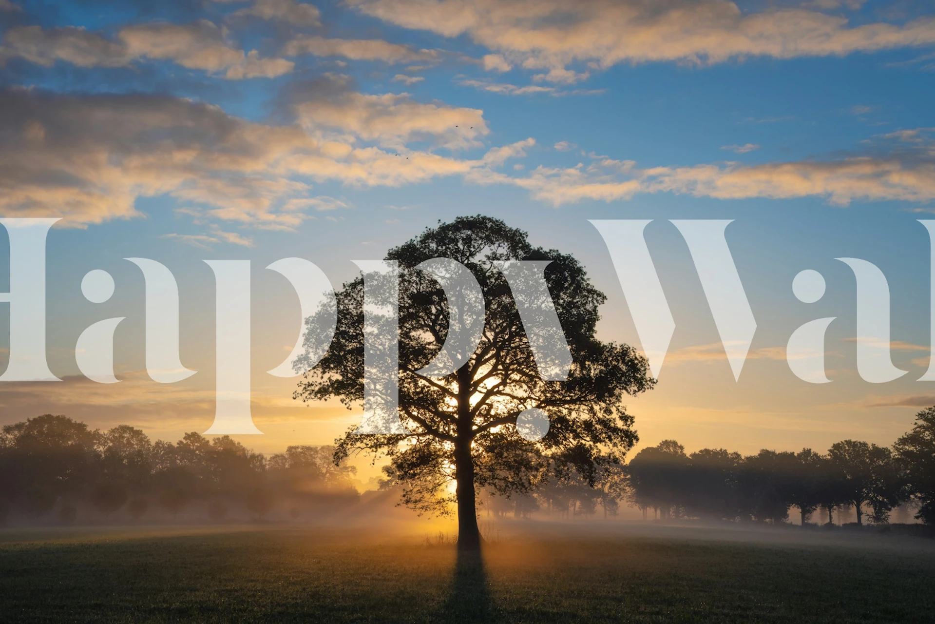 Sunrise Serenity Tree Tapete in einem Raum