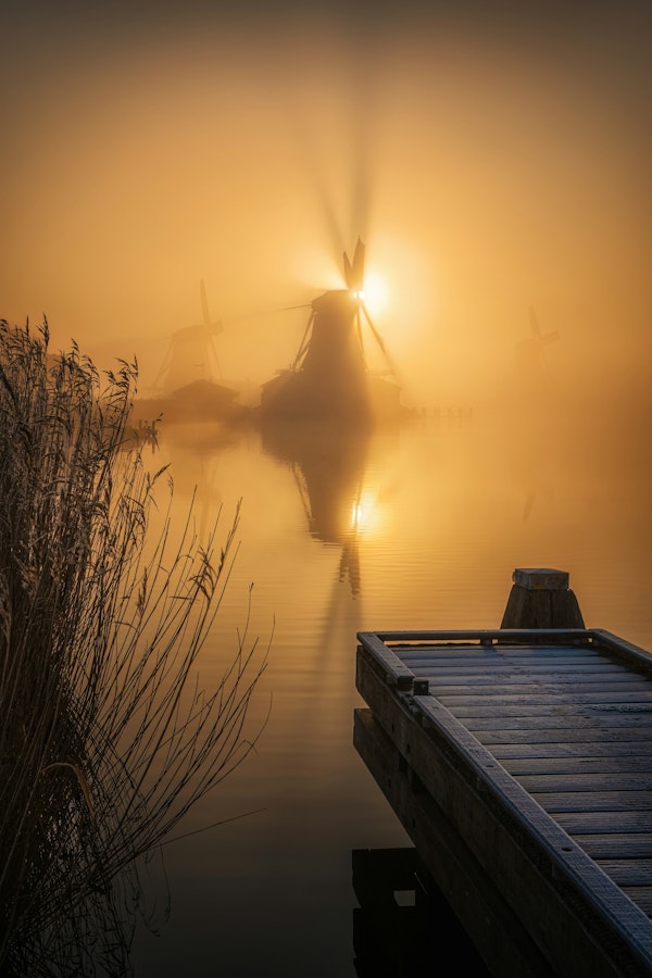 Golden Windmill Sunrise